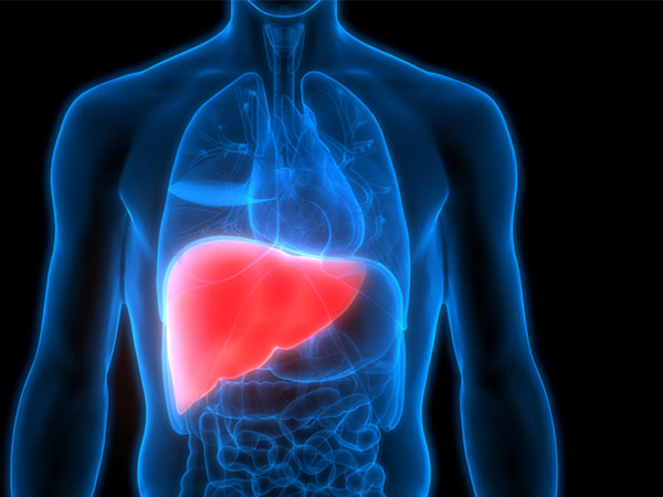 Liver & Biliary Care