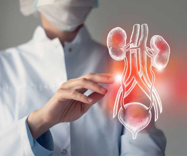 Urology Surgery Details